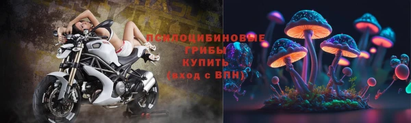 jwh Абаза