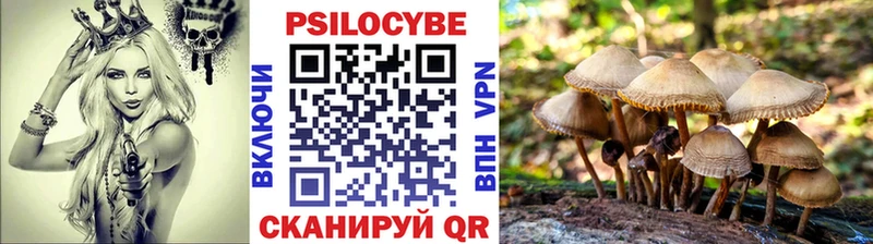 Псилоцибиновые грибы мицелий  Ухта 