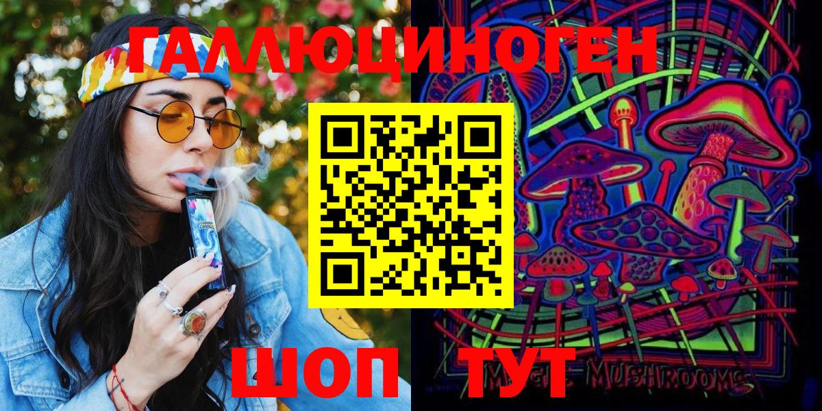 Псилоцибиновые грибы Psilocybe Ухта